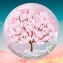 Blossom Partner Hub Discord Server Icon