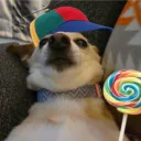 Silly World Discord Server Icon