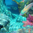 𝐈𝐦𝐩𝐞𝐫𝐢𝐚𝐥𝐬・🌊