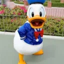 うりらる鯖(GSクラン練習鯖)