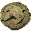 The Gamer Fossils