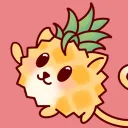 Studio Pinya