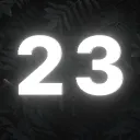 23