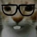 [26.1+] nerdcats.xyz (Reborn)