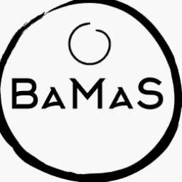 BaMaS-Studio — мониторинг Discord сервера, статистика и рейтинг