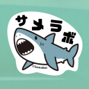 サメラボ Discord server icon