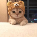 Discovery icon for Cat PvP Discord server