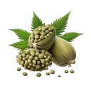 Smogli.yxz