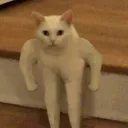 第5人格
