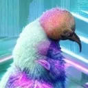 Dodo Lover Server