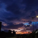 LOST WAY⋆｡˚ ⋆🌸 Discord server icon