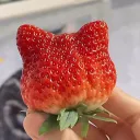 no