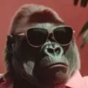 Gorilla with Glasses - Primate Business