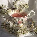 ❁┆𝘚𝘢𝘧𝘦 𝘢𝘯𝘥 𝘊𝘩𝘪𝘭𝘭 𝘚𝘦𝘳𝘷𝘦𝘳!!