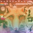 。゚•┈୨Cutest Kittens୧┈•゚。 Discord Server Icon