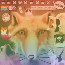 ｡ﾟ•┈୨Cutest Kittens୧┈•ﾟ｡ Discord Server Icon