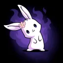 🐰 RABBIT 🐰