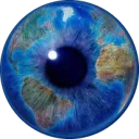 The World In Focus