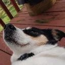 Randoms Official Discord Server