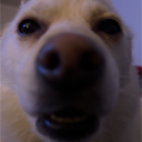 Discovery icon for InstantAva's Photoshoot Discord server