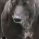 Siparwadi party Discord Server Icon