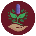 Hyacinth