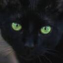 Raven's Hollow Discord Server Icon
