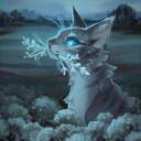 Warriors Fanclub Discord Server Icon