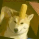 Welcome to hecc