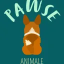 Serveur de Pawse Animale