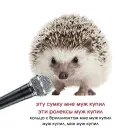 АНКО ТЫ ДАЛБАЕБ