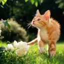 Rippling Tides Discord Server Icon