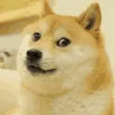 色狗娛樂