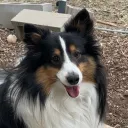 Hamish Haven