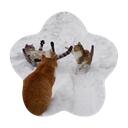 :    winter wonderland  Discord Server Icon