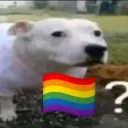 𝙢𝙖𝙣𝙞𝙘𝙤́𝙢𝙞𝙤 𝙙𝙤 𝘿𝙖𝙞𝙧