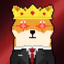 Doge Never Lose