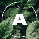 Ahmed's Basement's icon