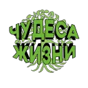Чудеса Жизни