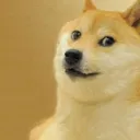 ☠  Doge Pirates Crew ☠