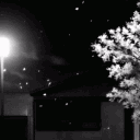 Emolandia Discord server icon