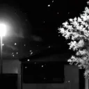 Emolandia Discord Server Icon