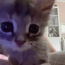 ༺♡bpc♡༻'s icon