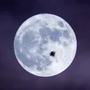 Moon City