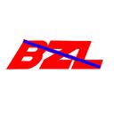 Bazil's Server Discord Server Icon