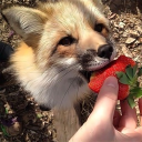 ꩜ 4am ☕ .ᐟ ♡