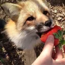 ꩜ 4am  .ᐟ  Discord Server Icon