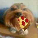 Associação Fatia de Pizza (AFP)