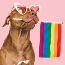 Calling All Paws Discord Server Icon