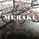 meraki Server Icon
